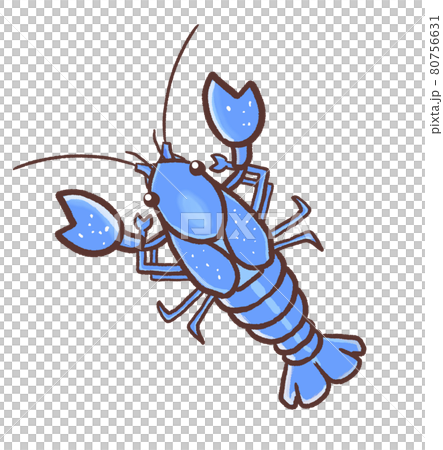 R: More fairy tale aquarium ☆ Exotic species Mystery Crayfish From above ① R: More fairy tale aquarium ☆ Exotic species Mystery Crayfish From above ① 80756631
