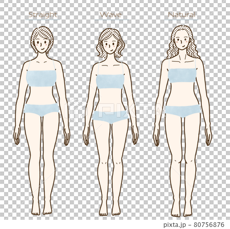 骨格診断（ストレート・ウェーブ・ナチュラル）の女性イラスト（正面） 80756876