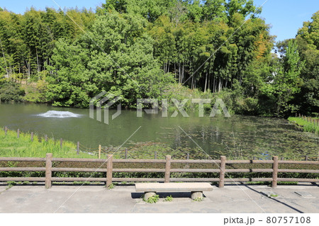 千里中央公園 千里中央公園 80757108