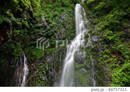 幕滝 80757321