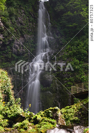 幕滝 80757325