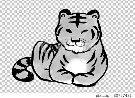 Catloaf sitting tiger ink painting watercolor black and white Catloaf sitting tiger ink painting watercolor black and white 80757481