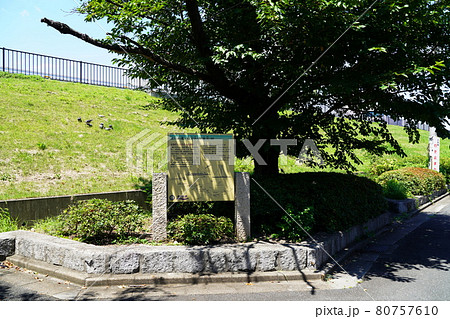 大阪　枚方宿　船を監視する船番所跡（枚方、夏） 80757610