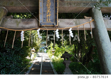 大阪 枚方宿 意賀美神社(枚方、万年寺山、夏) 大阪 枚方宿 意賀美神社(枚方、万年寺山、夏) 80757614