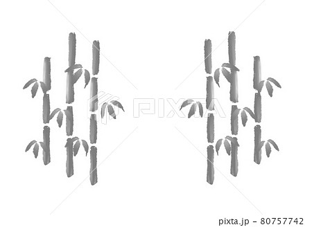 水彩風の竹 水墨画 白黒のイラスト素材