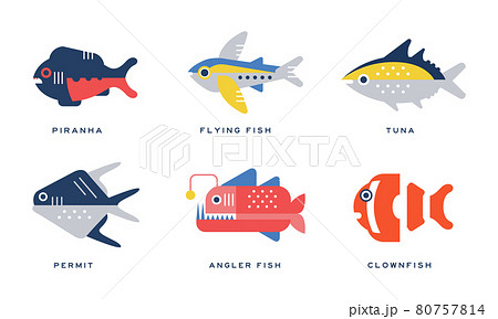 Freshwater and Saltwater Fish as Seafood Depicted in Flat Style Vector Set 80757814