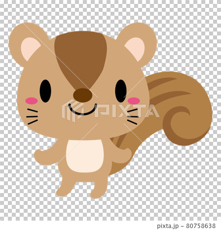 立ちポーズ 動物 イラスト リス01 立ちポーズ 動物 イラスト リス01 80758638