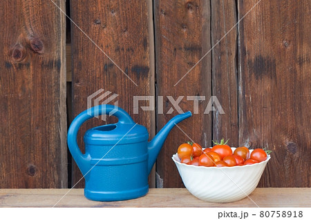 Harvest red tomatoes next blue watering can Harvest red tomatoes next blue watering can 80758918