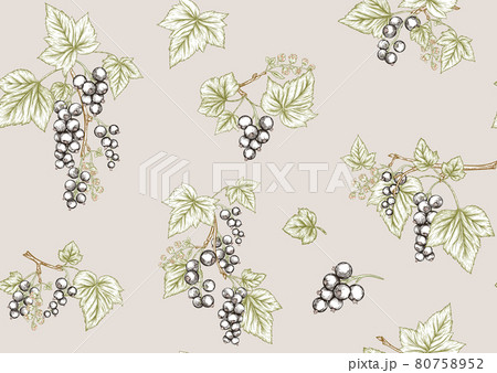 Black currant. Ripe berries. Seamless pattern, background. Black currant. Ripe berries. Seamless pattern, background. 80758952