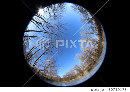 Frozen river in forest. Circular fisheye landscape 80759173