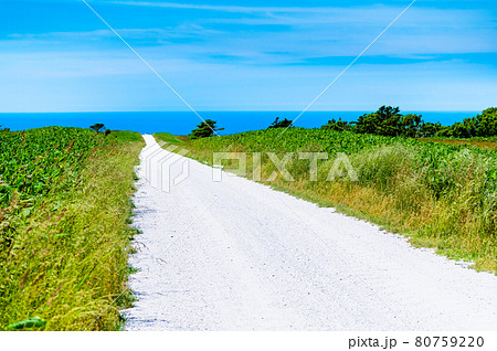 北海道稚内市 宗谷丘陵の白い道 北海道稚内市 宗谷丘陵の白い道 80759220