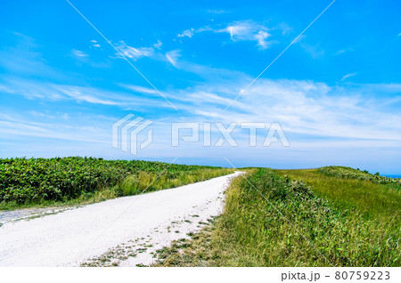 北海道稚内市　宗谷丘陵の白い道 80759223