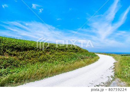 北海道稚内市 宗谷丘陵の白い道 北海道稚内市 宗谷丘陵の白い道 80759224