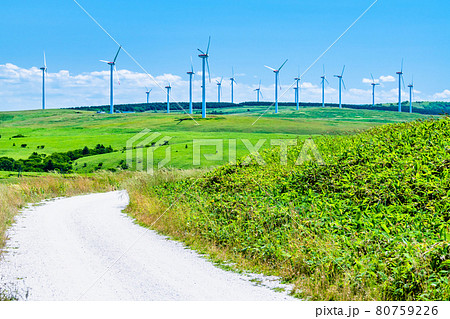 北海道稚内市　宗谷丘陵の白い道 80759226