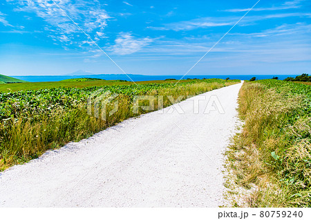 北海道稚内市 宗谷丘陵の白い道 北海道稚内市 宗谷丘陵の白い道 80759240
