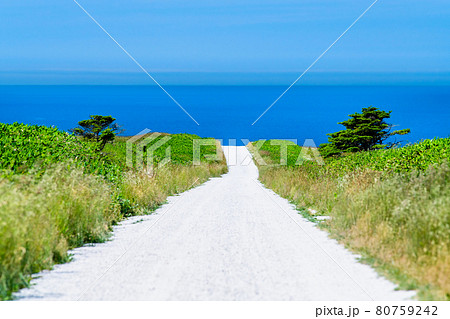 北海道稚内市 宗谷丘陵の白い道 北海道稚内市 宗谷丘陵の白い道 80759242