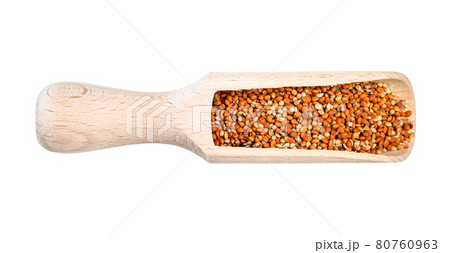 siberian millet seeds in wood scoop cutout 80760963