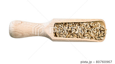 scagliola canary seeds in wood scoop cutout scagliola canary seeds in wood scoop cutout 80760967