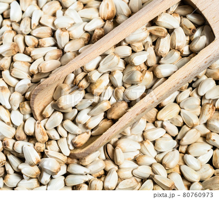 top view of wood scoop on pile of Safflower seeds top view of wood scoop on pile of Safflower seeds 80760973