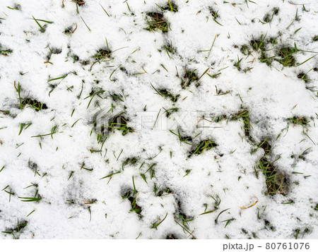 top view of meadow snow-covered by the first snow top view of meadow snow-covered by the first snow 80761076