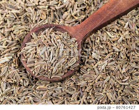 top view of wood spoon on pile of kala zeera seeds top view of wood spoon on pile of kala zeera seeds 80761427