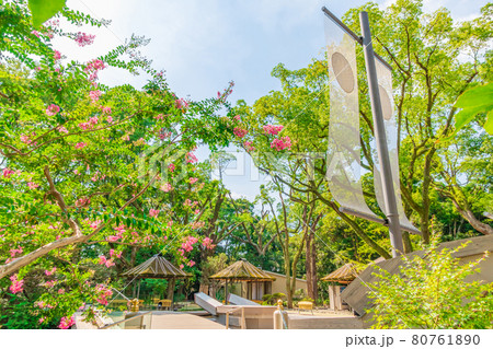 熱田神宮参拝者の憩いの場、くさなぎ広場〈愛知県名古屋市〉 80761890