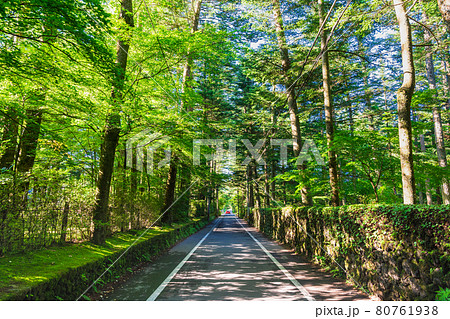 夏の軽井沢　別荘が建ち並ぶエリア 80761938
