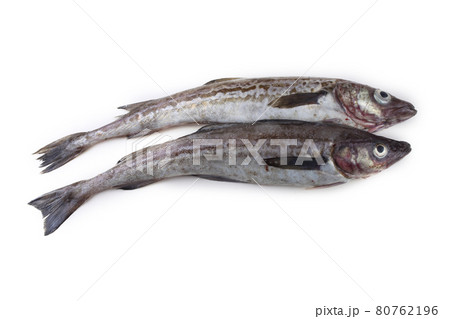 Alaska pollock Alaska pollock 80762196