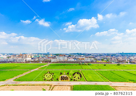 城山公園旭城から望む、田んぼアート〈愛知県尾張旭市〉 城山公園旭城から望む、田んぼアート〈愛知県尾張旭市〉 80762315