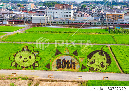 城山公園旭城から望む、田んぼアート〈愛知県尾張旭市〉 80762390