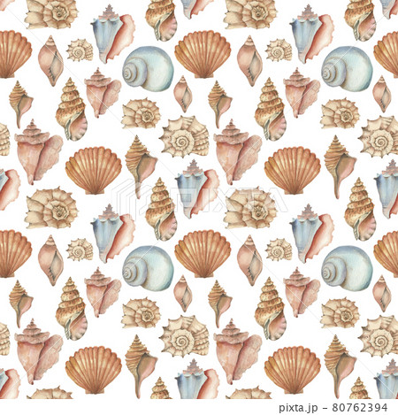 Watercolor shell seamless pattern  80762394