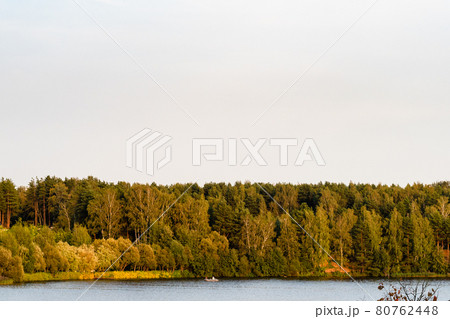 landscape with yellow and green forest on lake landscape with yellow and green forest on lake 80762448