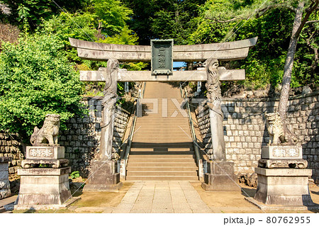 東京都品川区北品川の品川神社 80762955