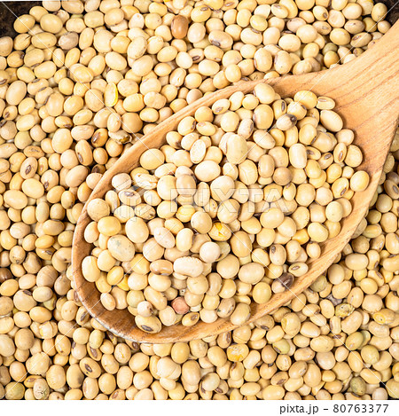 dried soybeans in wooden spoon closeup 80763377