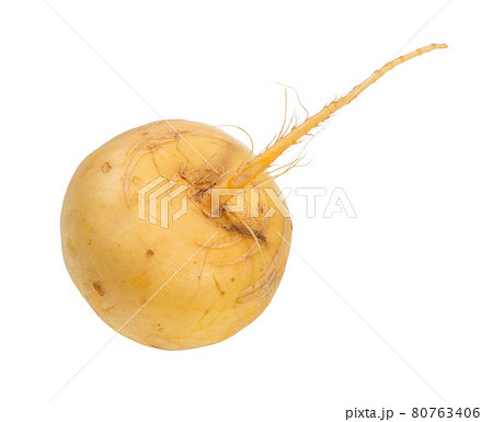 root of fresh organic yellow turnip cutout root of fresh organic yellow turnip cutout 80763406