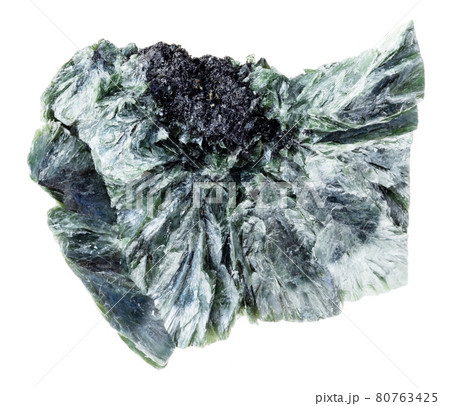 rough Clinochlore (Chlorite) stone on white rough Clinochlore (Chlorite) stone on white 80763425
