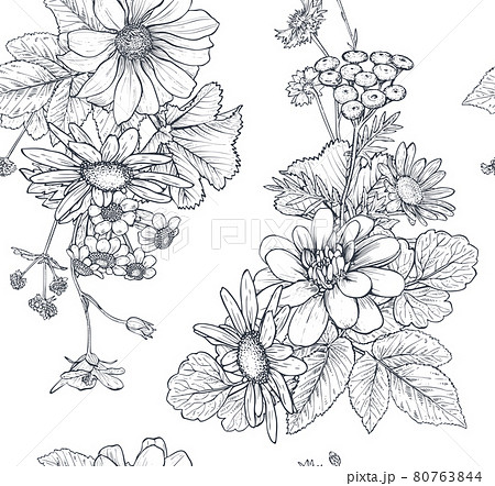 Vector seamless pattern with hand drawn herbs and wildflowers 80763844