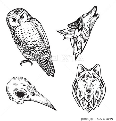 Set Of Vector Illustrations Of Black And White Stock Illustration