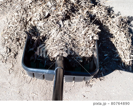 shoveling of fallen leaves and litter on street 80764890