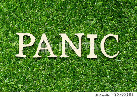 Wood letter in word panic on green grass background 80765183