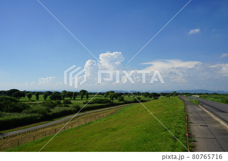 8月　古河01入道雲(積乱雲)･古河ゴルフリンクス 80765716