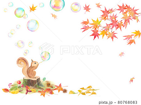 どんぐりを持ったリスと紅葉の水彩イラスト。バナー背景。 80768083