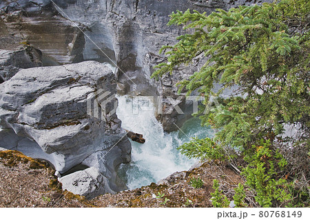 マリン渓谷の滝部 ジャスパー アルバ-タ カナダ マリン渓谷の滝部 ジャスパー アルバ-タ カナダ 80768149