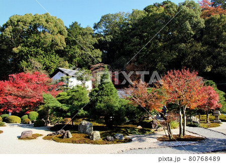 金戒光明寺・紫雲の庭の紅葉 金戒光明寺・紫雲の庭の紅葉 80768489
