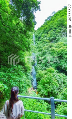 【広島県】日本の滝百選の常清滝を見つめる女の子　三次市作木町 80768527