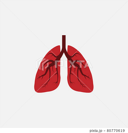Lungs, medical icon. Vector illustration, flat design. 80770619