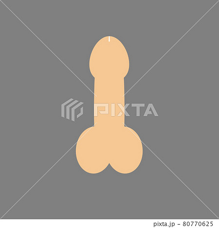 male sex organ penis. Vector illustration, flat design. 80770625