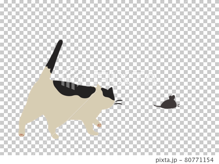 Cat chasing a mouse-Brindle cat - Stock Illustration [80771154] - PIXTA