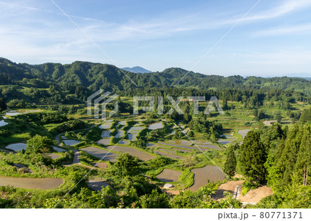 星峠の棚田 新潟県 星峠の棚田 新潟県 80771371
