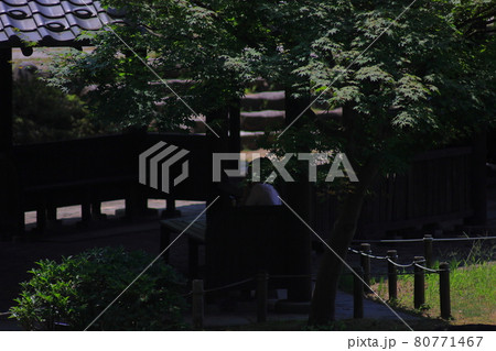 和の建物 和の建物 80771467